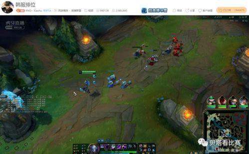 小虎爆料视频大全最新,揭秘娱乐圈幕后真相